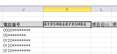 エクセルカードHARI,項目名が長い